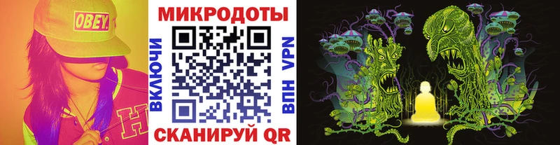 Купить где  Пугачёв  Галлюциногенные грибы Psilocybe 